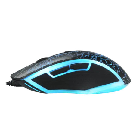 RAPOO V20S