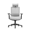 SKILLCHAIRS SM6F-BH Gris