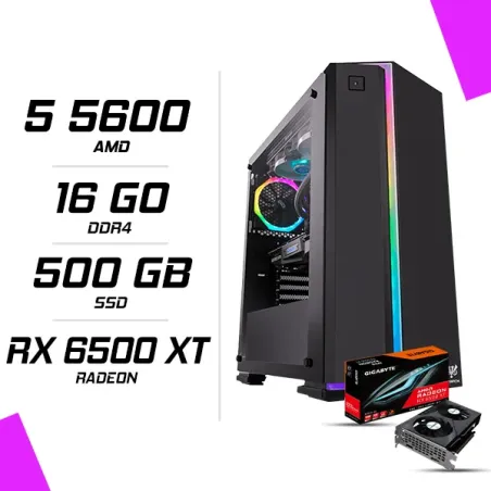 PC Gamer AMD Ryzen 5 5600 RX 6500 XT 4G