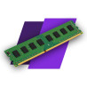DIMM